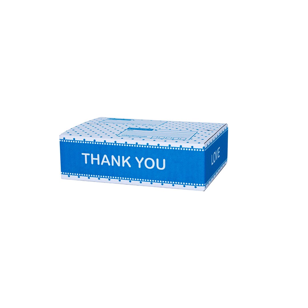 TY2101 - กล่องไปรษณีย์ Thank You สีฟ้า